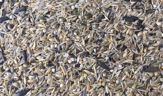 cardill-mixmaintenance250x250.jpg